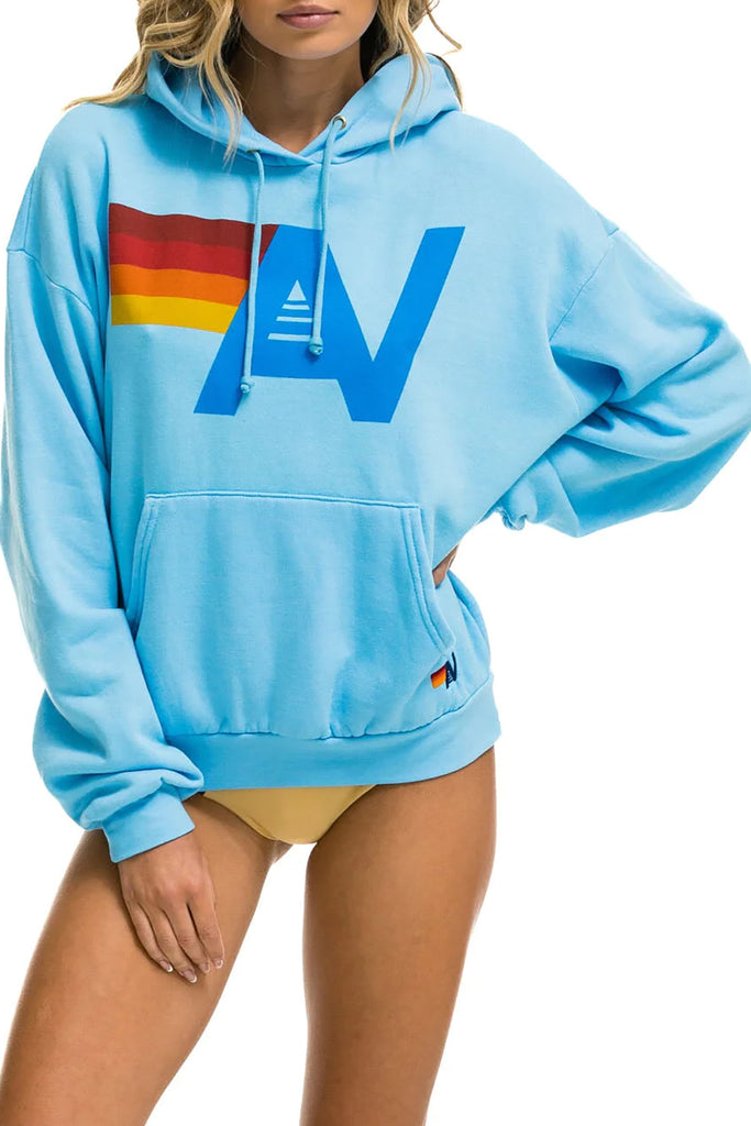 Logo Pullover Relaxed Hoodie in Sky