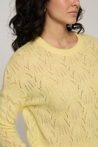 Allover Pointelle Crew in Daffodil