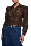 Anita Lace Blouse in Dark Brown