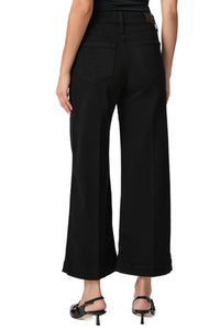 Anessa Wide Leg Jean in Black Shadow