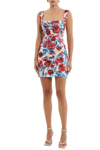 Fleurette Mini Dress in Red Poppy Fields Print