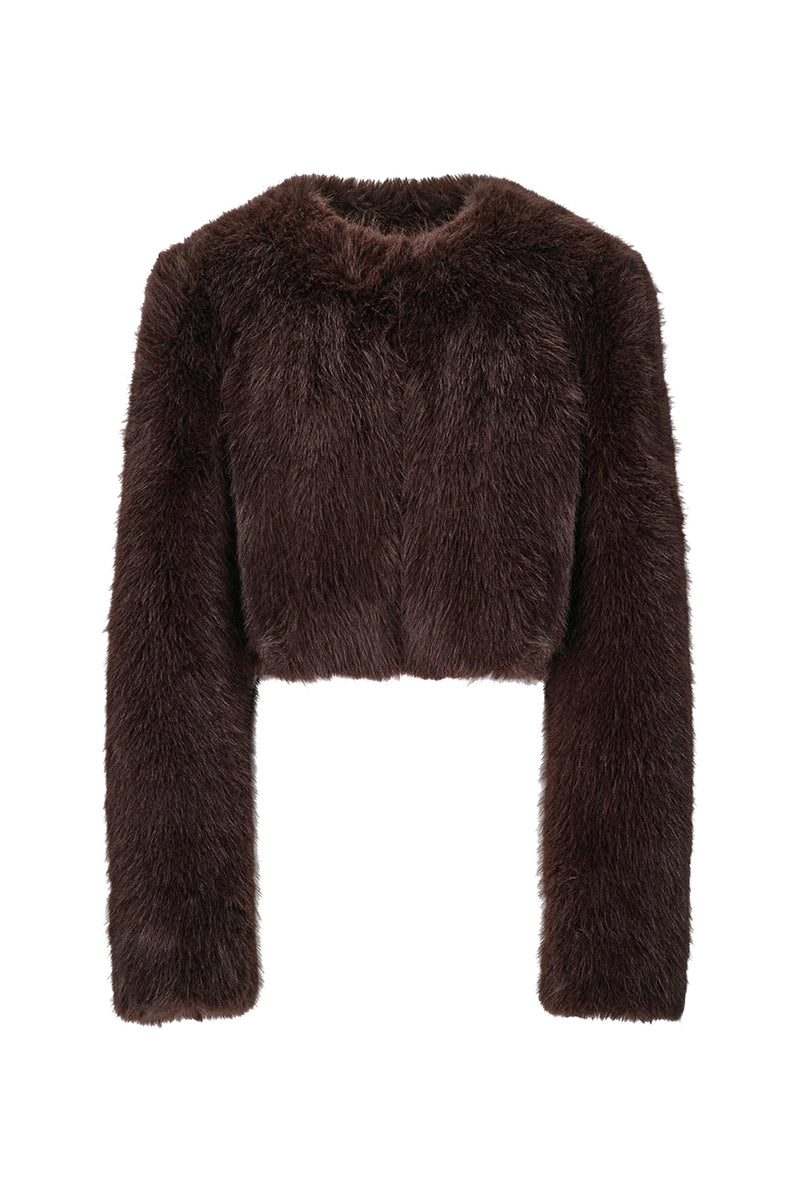 Casmira Jacket in Earth