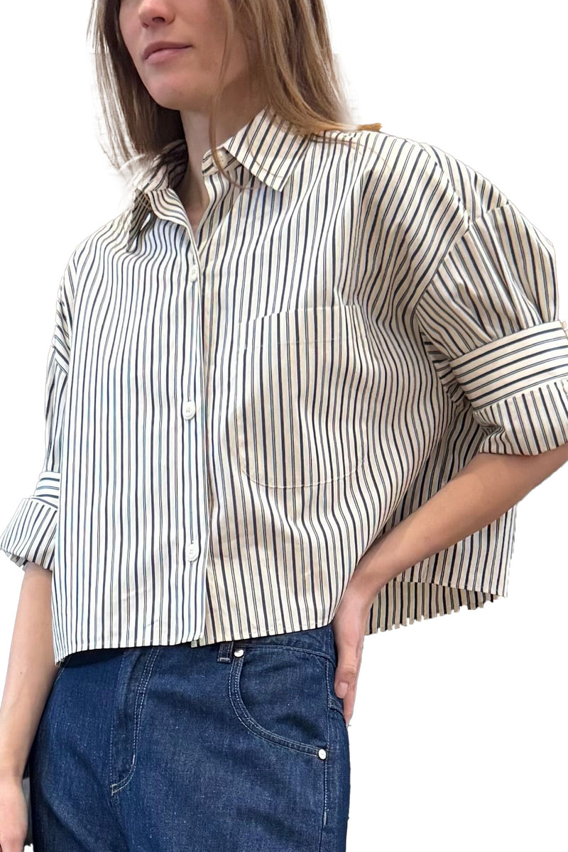 Next Ex Shirt in Dancing Striped Cotton Shirting Ivory Cilantro