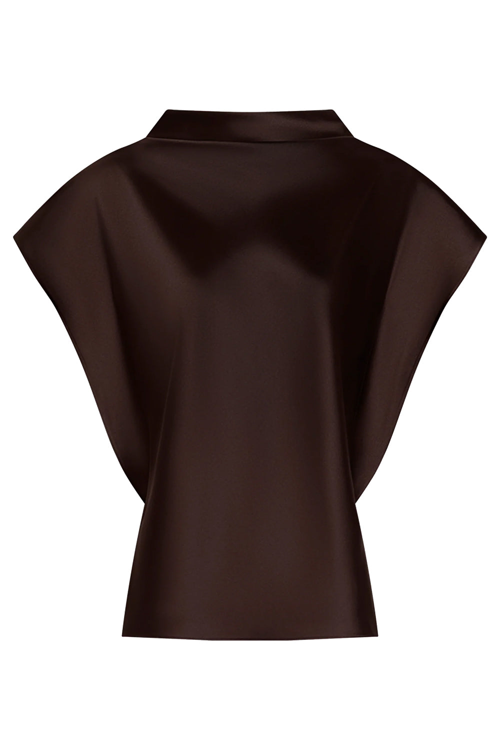 Adrien Top in Dark Fig