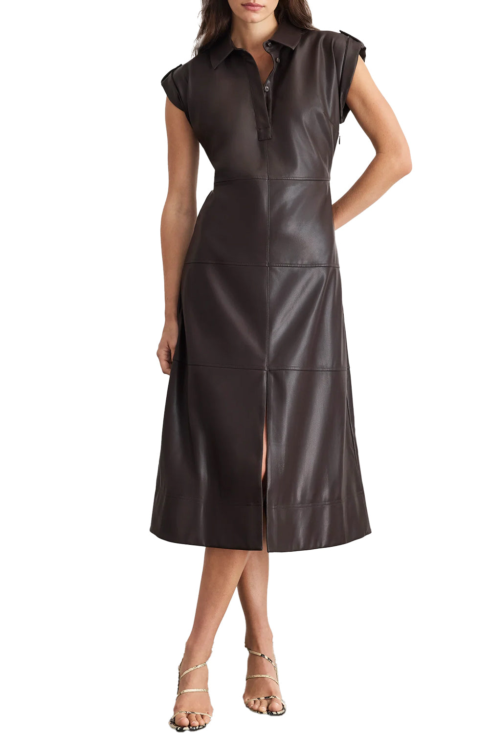 Shivi Dress in Dark Fig