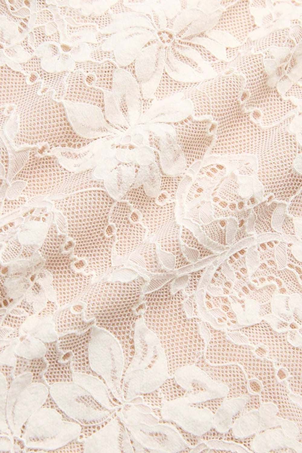 Lace Scoop Bodysuit in Cream